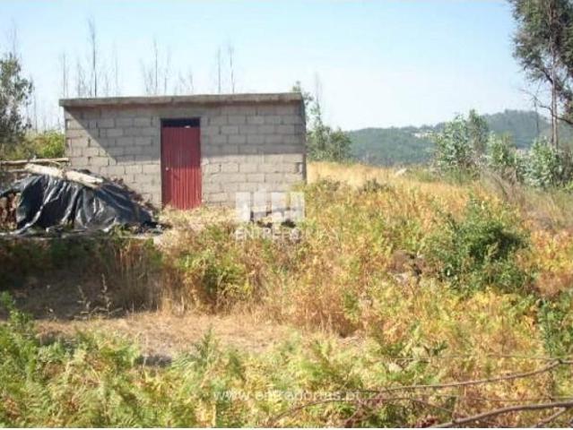 1 quarto, Cinfães Cinfães 105149055