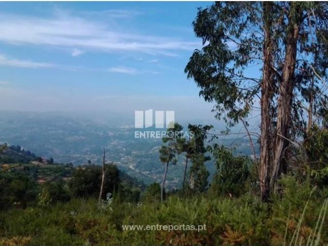 1 quarto, Cinfães Cinfães 105149050