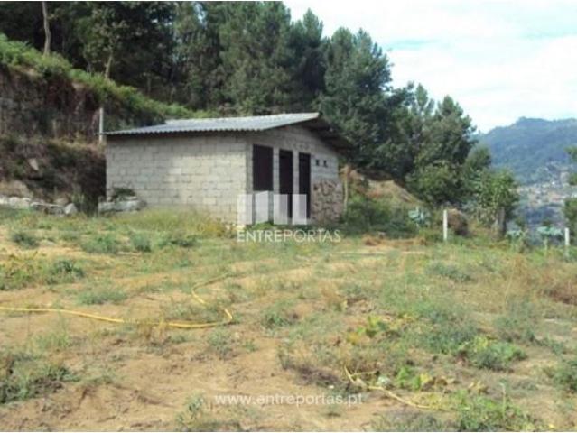 1 quarto, Cinfães Cinfães 105166106