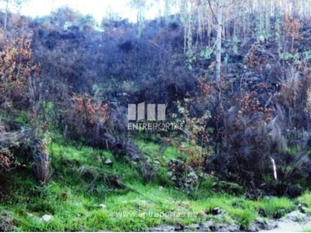 1 quarto, Cinfães Cinfães 105166113