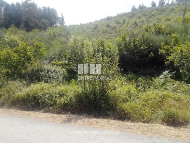 1 quarto, Cinfães Cinfães 105166138
