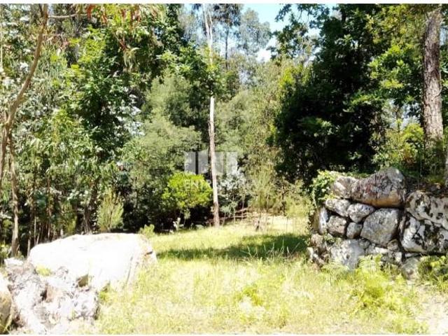 1 quarto, Cinfães Cinfães 105183782