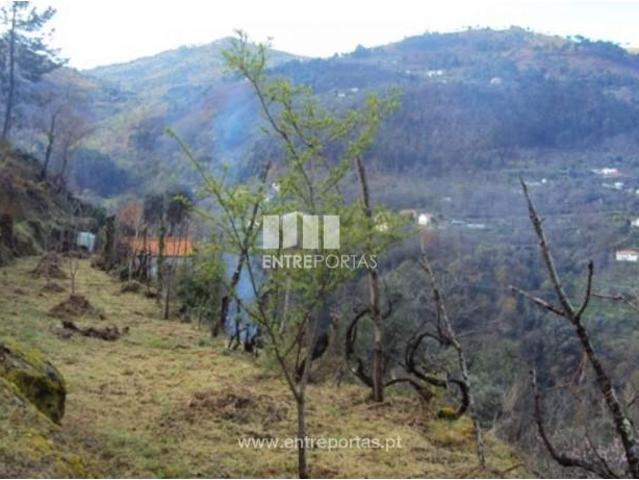 1 quarto, Cinfães Cinfães 105183870
