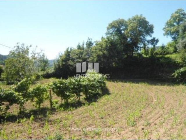 1 quarto, Cinfães Cinfães 105196274