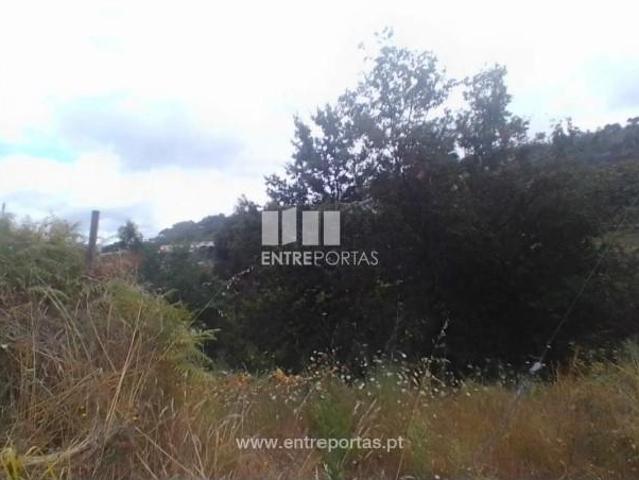1 quarto, Cinfães Cinfães 105622750
