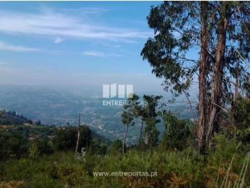 Casa à venda em Concelho de Penafiel