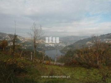 1 quarto, Cinfães Cinfães 103515688