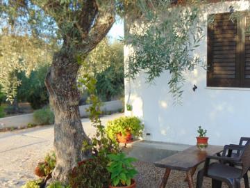 1 quarto, Coruche Coruche 99385167