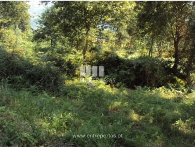 1 quarto, Felgueiras Felgueiras LS105524830