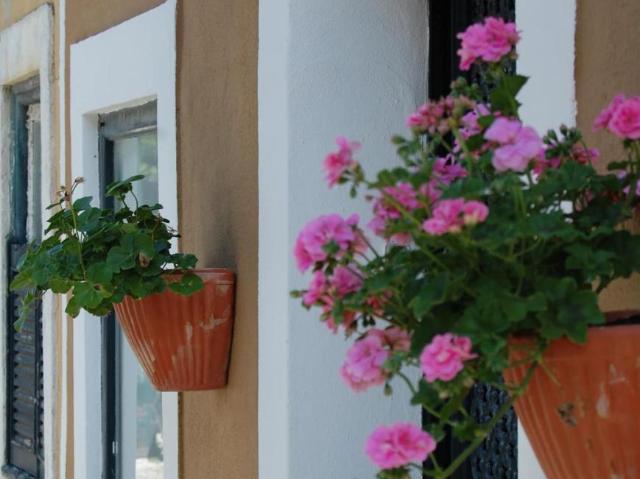 1 quarto, Lisboa Lisboa 104938861