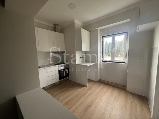 1 quarto, Lisboa Lisboa 1350 96428218