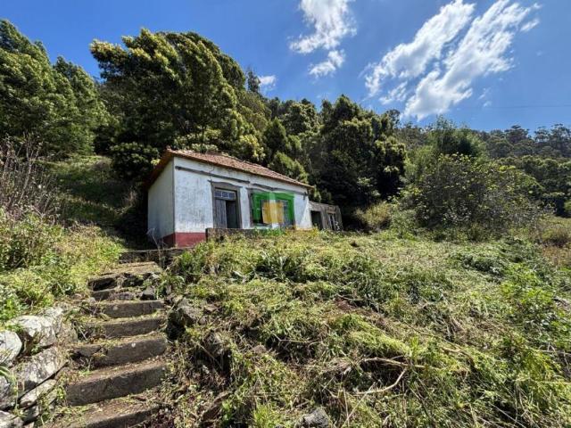 1 quarto, Madeira Ribeira Brava 9350 102715063