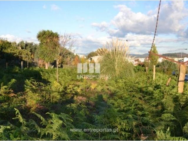 1 quarto, Maia Maia 105166140