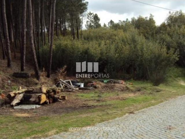1 quarto, Marco de Canaveses Marco de Canaveses 103861717