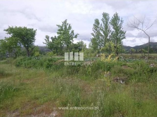 1 quarto, Marco de Canaveses Marco de Canaveses 103899166