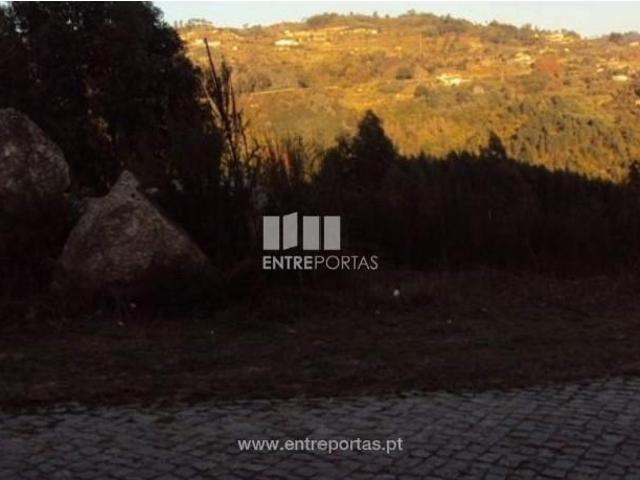 1 quarto, Marco de Canaveses Marco de Canaveses 104454601