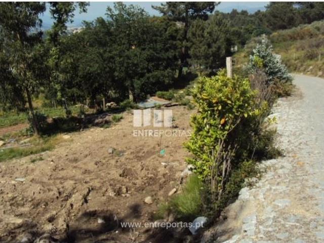 1 quarto, Marco de Canaveses Marco de Canaveses 104520600