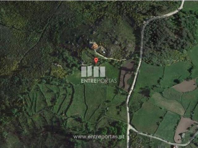 1 quarto, Marco de Canaveses Marco de Canaveses 105046443