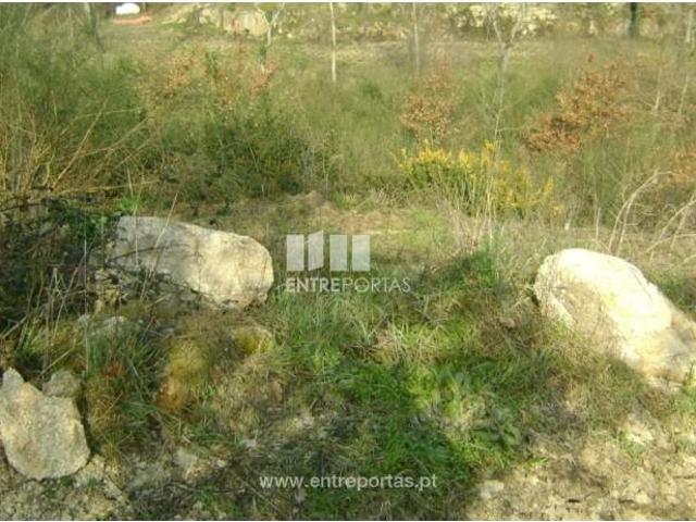 1 quarto, Marco de Canaveses Marco de Canaveses 105068683