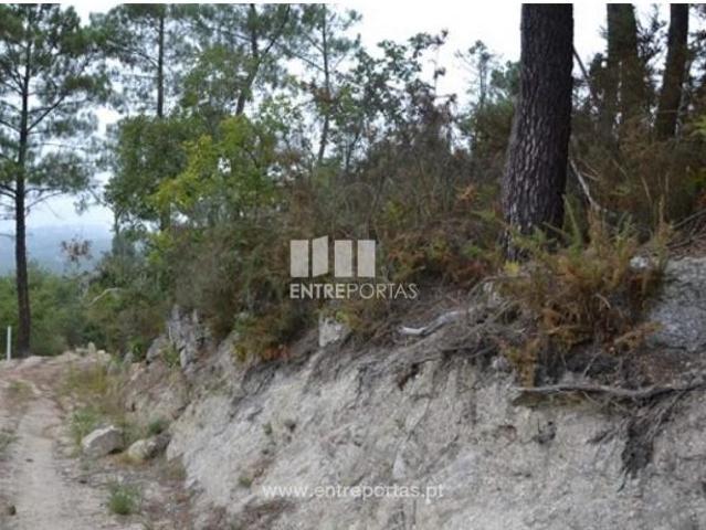1 quarto, Marco de Canaveses Marco de Canaveses 105099723