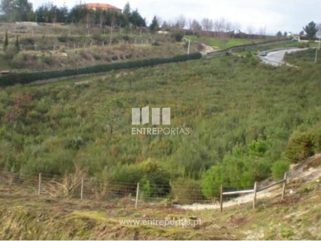1 quarto, Marco de Canaveses Marco de Canaveses 105020780
