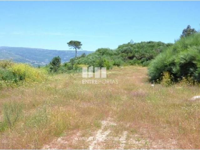 1 quarto, Marco de Canaveses Marco de Canaveses 105149046
