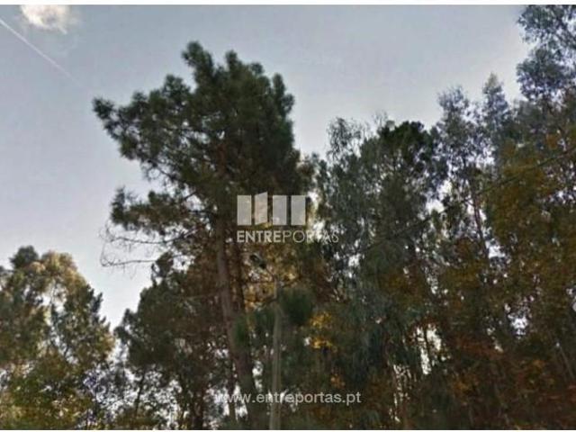1 quarto, Marco de Canaveses Marco de Canaveses 105462139
