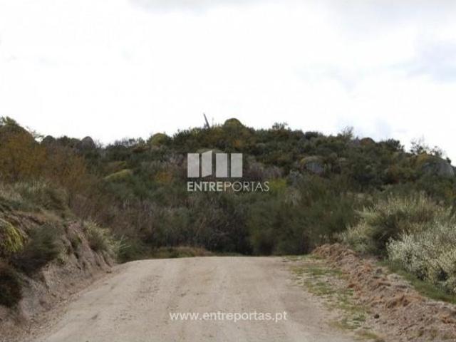 1 quarto, Marco de Canaveses Marco de Canaveses 105484446