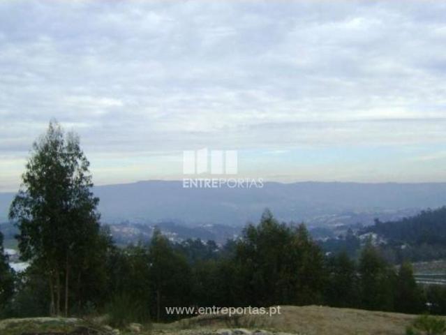 1 quarto, Marco de Canaveses Marco de Canaveses 105553932