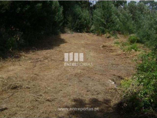 1 quarto, Marco de Canaveses Marco de Canaveses 105674310
