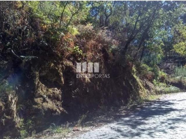1 quarto, Marco de Canaveses Marco de Canaveses 105674316