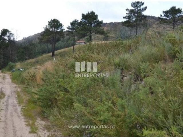 1 quarto, Marco de Canaveses Marco de Canaveses 105622721