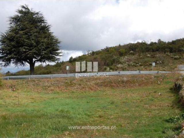 1 quarto, Marco de Canaveses Marco de Canaveses 105792682