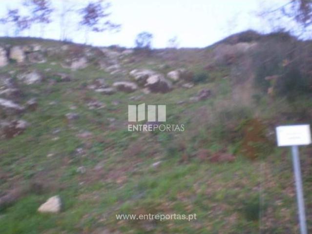 1 quarto, Marco de Canaveses Marco de Canaveses 105802032