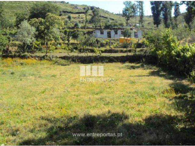1 quarto, Marco de Canaveses Marco de Canaveses 105943743