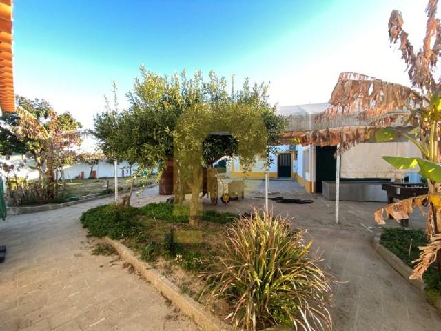 1 quarto, Mora Mora 105067303