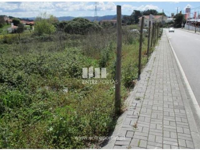 1 quarto, Paredes Paredes 105653394