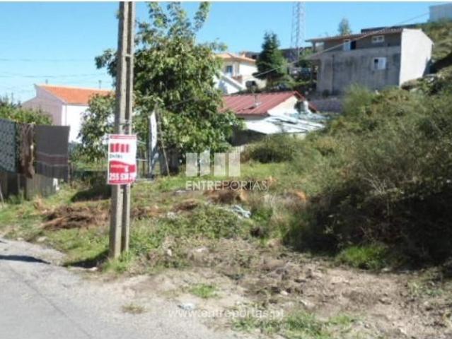1 quarto, Paredes Paredes 105802035