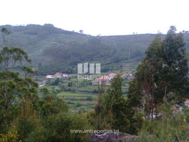 1 quarto, Penafiel Penafiel 104792920