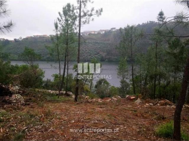 1 quarto, Penafiel Penafiel 104874815