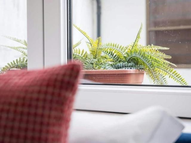 1 quarto, Porto Porto 4050 361 104435401