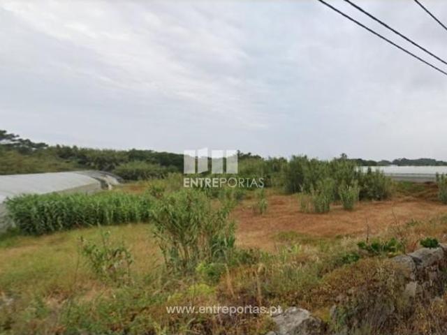 1 quarto, Póvoa de Varzim Póvoa de Varzim 105086581