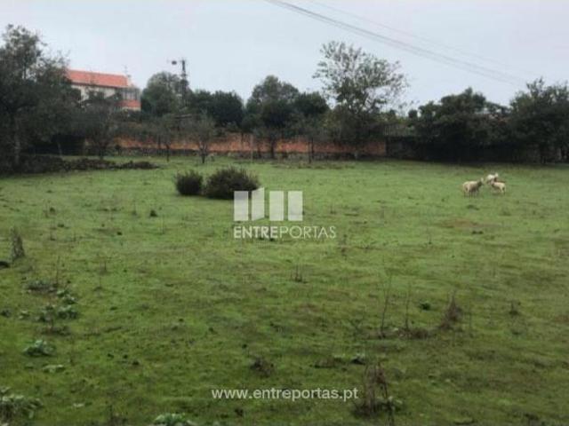 1 quarto, Póvoa de Varzim Póvoa de Varzim 105099727