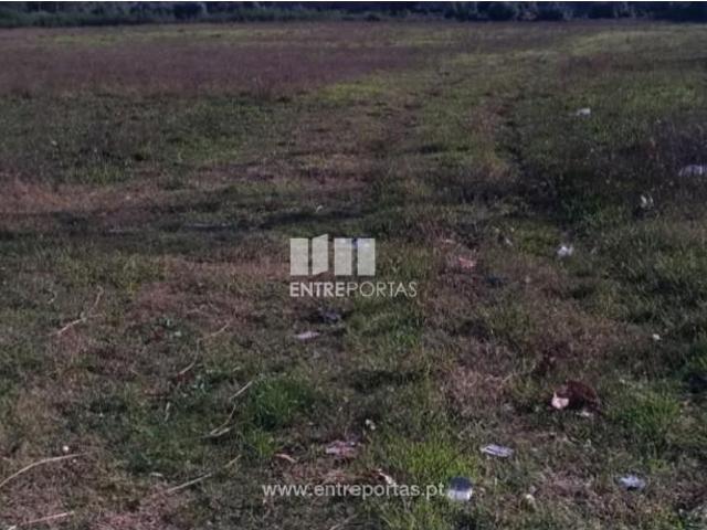 1 quarto, Póvoa de Varzim Póvoa de Varzim 105008054