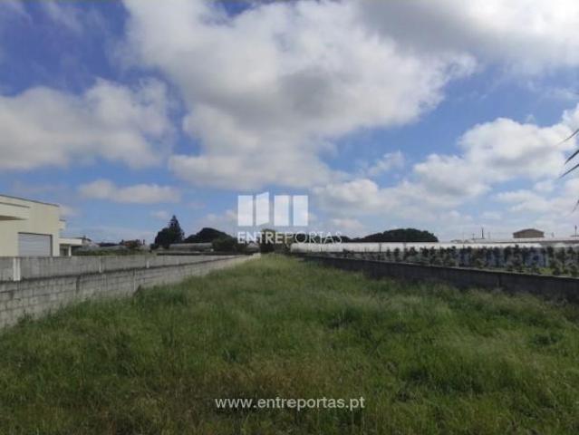 1 quarto, Póvoa de Varzim Póvoa de Varzim 105358786