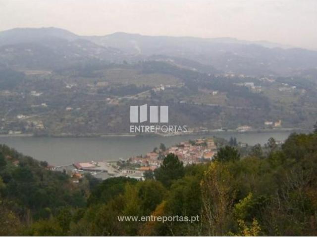 1 quarto, Resende Resende 105553909