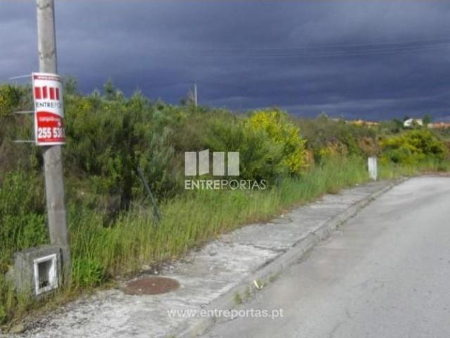 1 quarto, Sabrosa Sabrosa 105020716