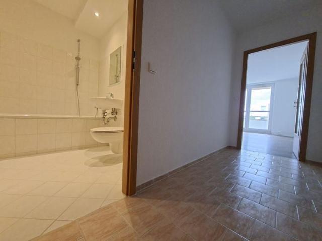 1 Raumwohnung mit Balkon im Kappler Stadtgarten