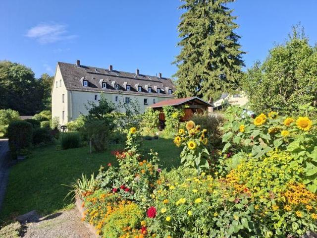 1 Raumwohnung in Chemnitz/Rabenstein