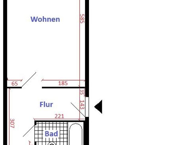 1 Raum Wohnung mit Balkon